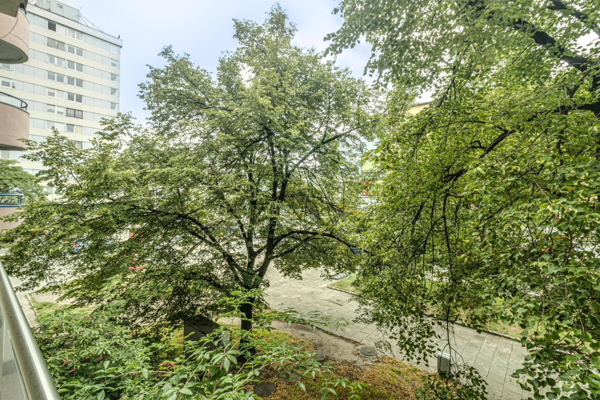 Rentplanet - Apartament Kosciuszki Breslávia Exterior foto